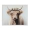 Stupell Industries Shaggy Cattle Floral Crown Framed Giclee, design by Shawna Stewart